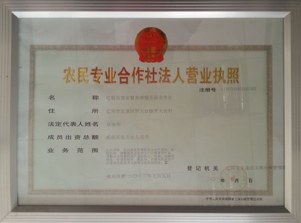 ũ��רҵ�����編��Ӫҵִ��