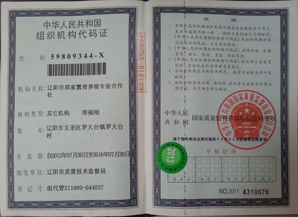 ��֯��������֤