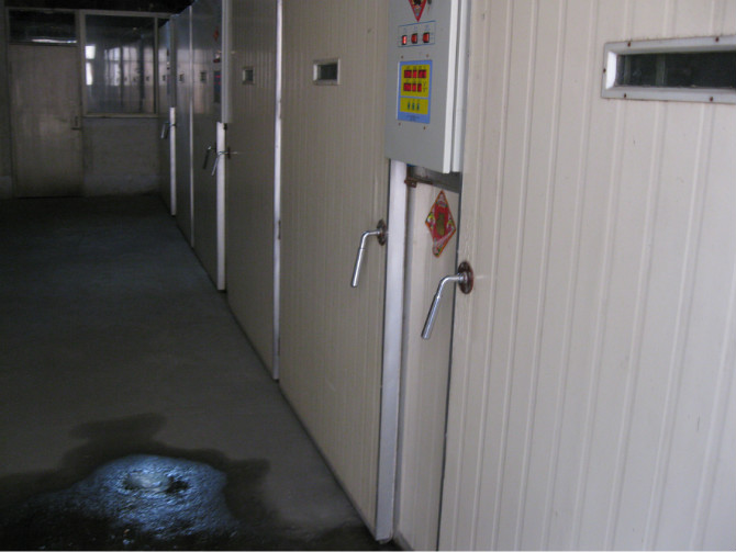 ������ (1)