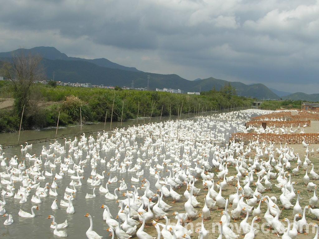 ������ (2)