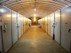 ������ (5)