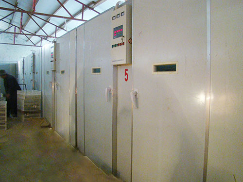 ������ (7)