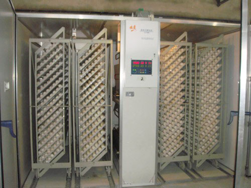 ������ (9)