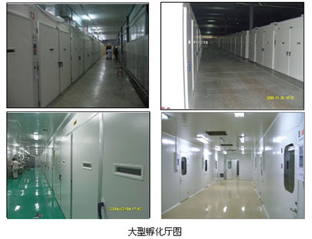 ������ (10)